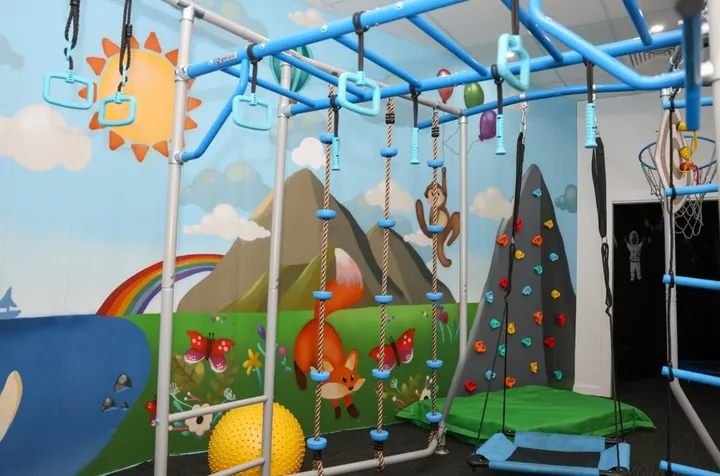 Our OT gym with monkey bars, rope ladders and a climbing wall